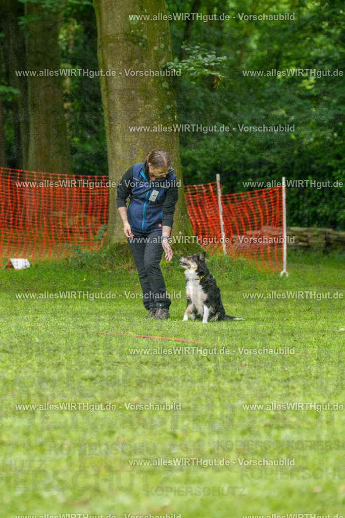 @allesWIRTHgut_Tierfotografie - www.allesWIRTHgut.de - 7R501926 | Professionelle Tierfotografie in Mönchengladbach von Daniel Wirth (allesWIRTHgut). Liebevolle & natürliche Bilder von Hunden & Katzen für unvergessliche Erinnerungen.
