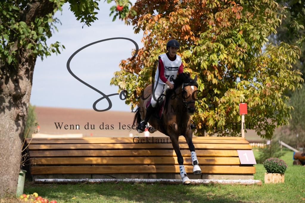 A7V03799 | Pferdefotograf