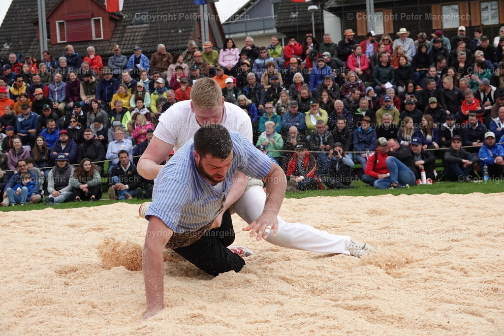 DSC03331 | Schwingen - Realisiert mit Pictrs.com