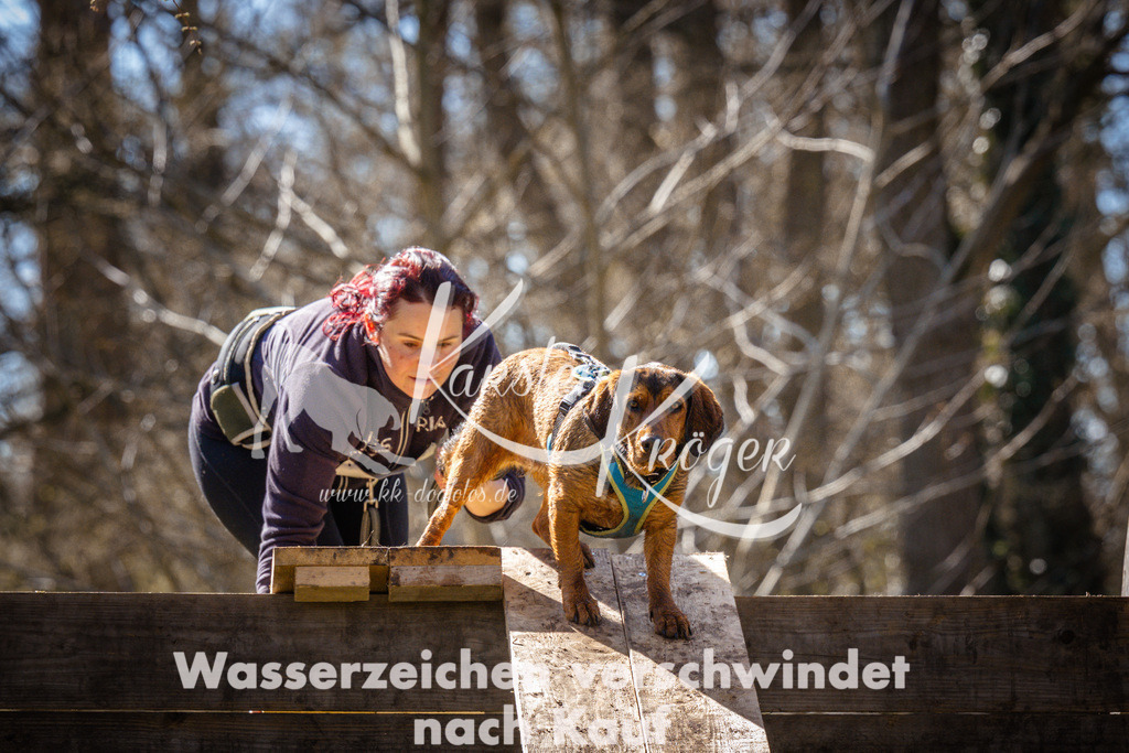 0939_ZZ96525 | kk-dogfotos