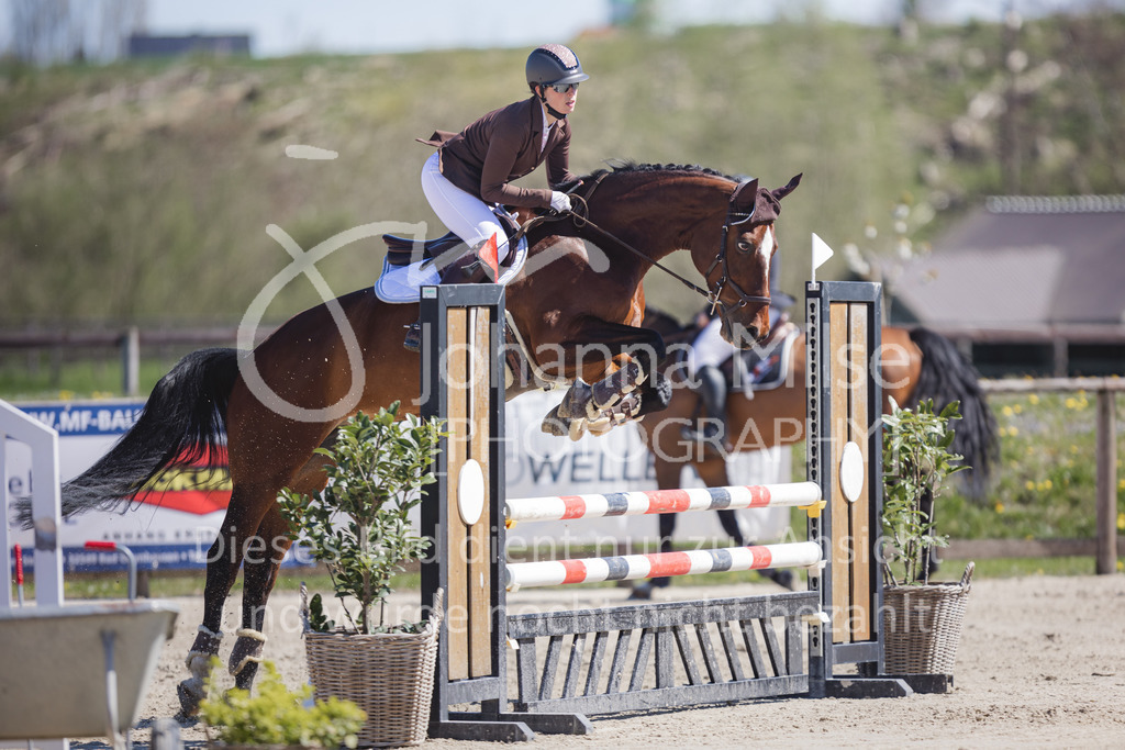 220416_3_A-Springen2-422 | Frühlingsfest der Pferde
Herford
16.April 2022
03/2 Sprigprüfung mit steigenden Anforderungen Kl. A** geschlossen 44-481 RLP