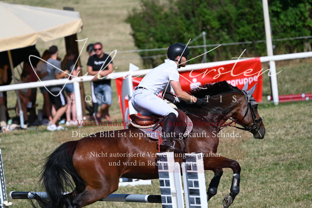 DSC_1949 | Pferde- und Turnierfotografie in Westsachsen. Pferdeportraits, Auftragszeichnungen und intuitive Kunst.
