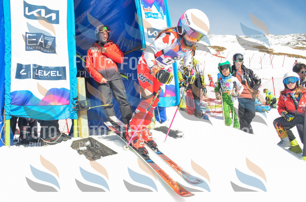 _ELE6099 | holidayphoto