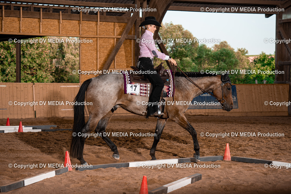 NE101345 | dv-media-shop - Realisiert mit Pictrs.com