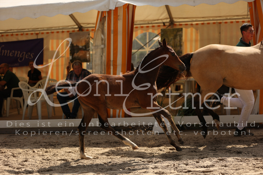 08.DoRPS00019 | Leoni Ertmer Photography - Realisiert mit Pictrs.com