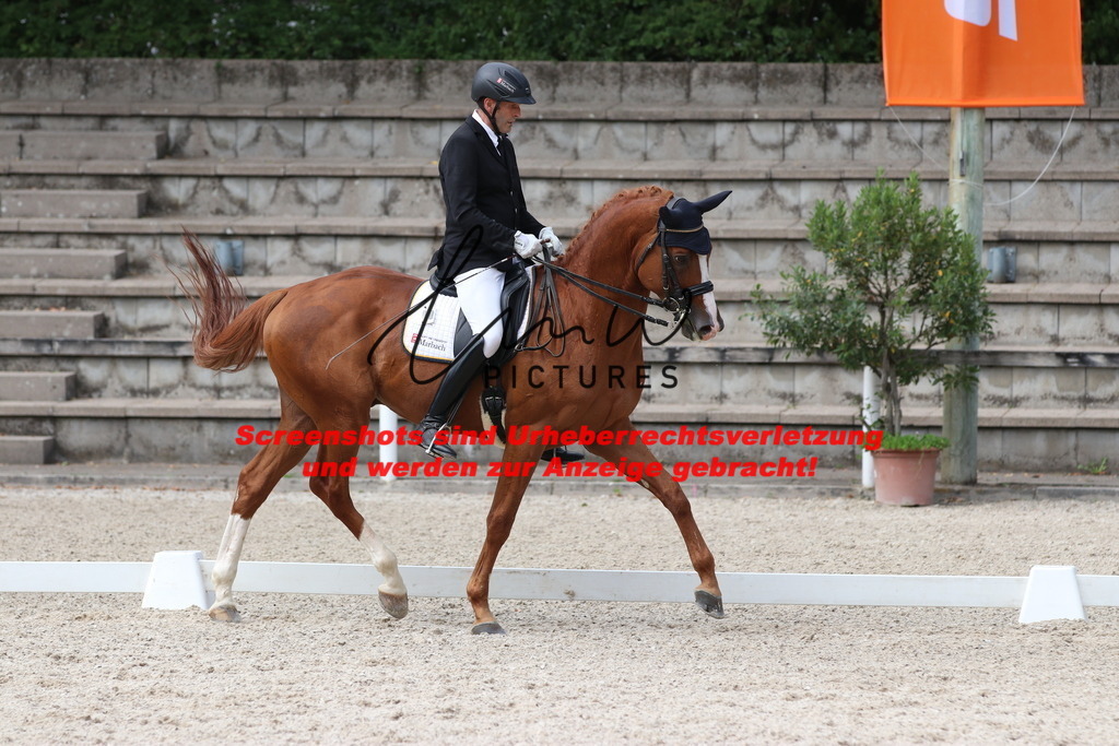 IMG_6958 | lmwpictures - Realisiert mit Pictrs.com