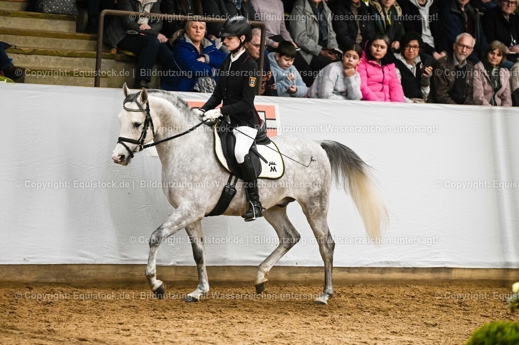 20260307_Hengstvorstellung-Marbach_0415 | equistock