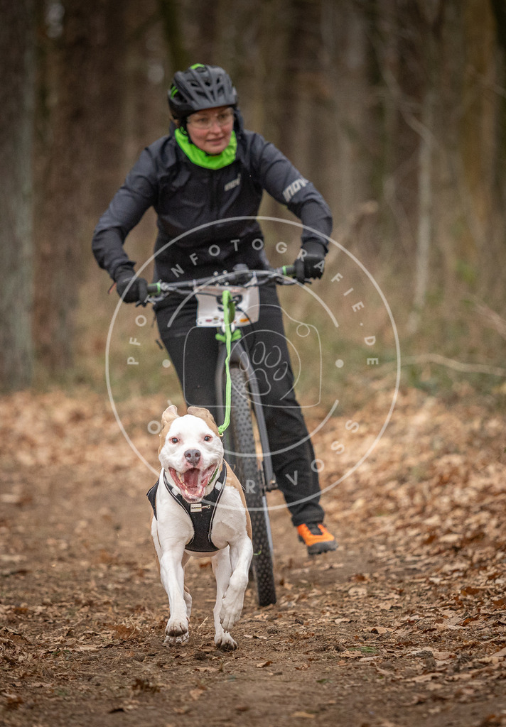 Pfotenfotografie_DV3A7101 | Hundefotografie, Tierfotograf, Pfotenfotografie, Fotoshooting Hund, Hunde Portrait, Hundesport, Hundeportraits, Heideshooting, Hunde, Sportfotograf, Hundefotograf, Turnierhundsport, THS,  - Realisiert mit Pictrs.com