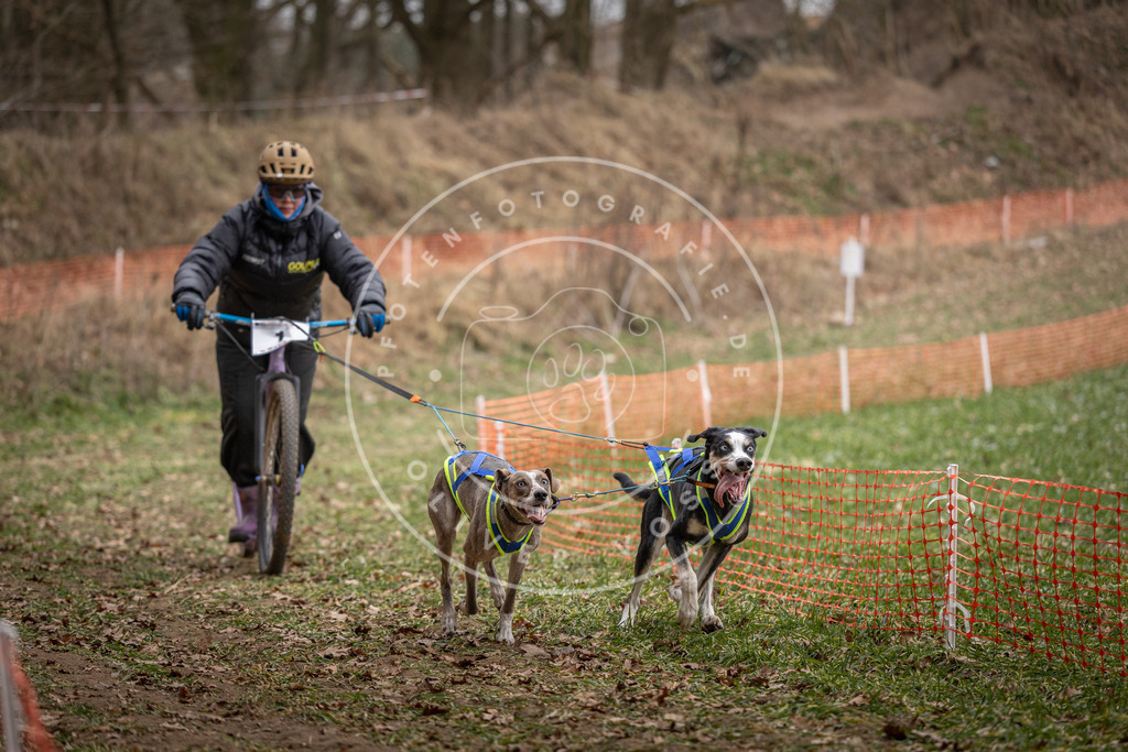Pfotenfotografie_DV3A6644 | Hundefotografie, Tierfotograf, Pfotenfotografie, Fotoshooting Hund, Hunde Portrait, Hundesport, Hundeportraits, Heideshooting, Hunde, Sportfotograf, Hundefotograf, Turnierhundsport, THS,  - Realisiert mit Pictrs.com