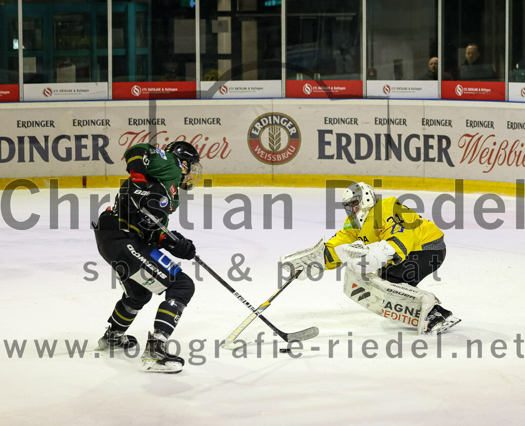2023-02-10_140_TSV_Erding_gegen_ERSC_Amberg | Erding, Deutschland, 10.02.2023:
Eishockey, Bayernliga Meisterrunde Gruppe B 2022 / 2023, 3. Spieltag, TSV Erding gegen ERSC Amberg, Endergebnis: 6:3

Florian Zimmermann (Erding Gladiators, #5), Torwart Timon Bätge (ERSC Amberg, #31)

Foto: Christian Riedel / fotografie-riedel.net