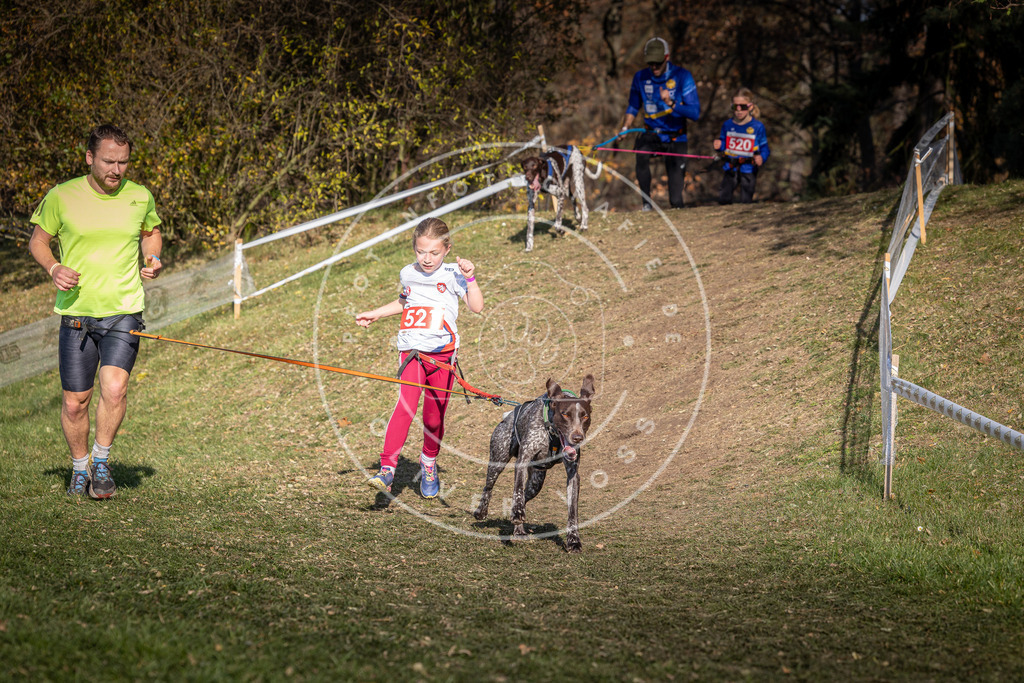 CaniXpix_0L8A8677 | Hundefotografie, Tierfotograf, Pfotenfotografie, Fotoshooting Hund, Hunde Portrait, Hundesport, Hundeportraits, Heideshooting, Hunde, Sportfotograf, Hundefotograf, Turnierhundsport, THS,  - Realisiert mit Pictrs.com