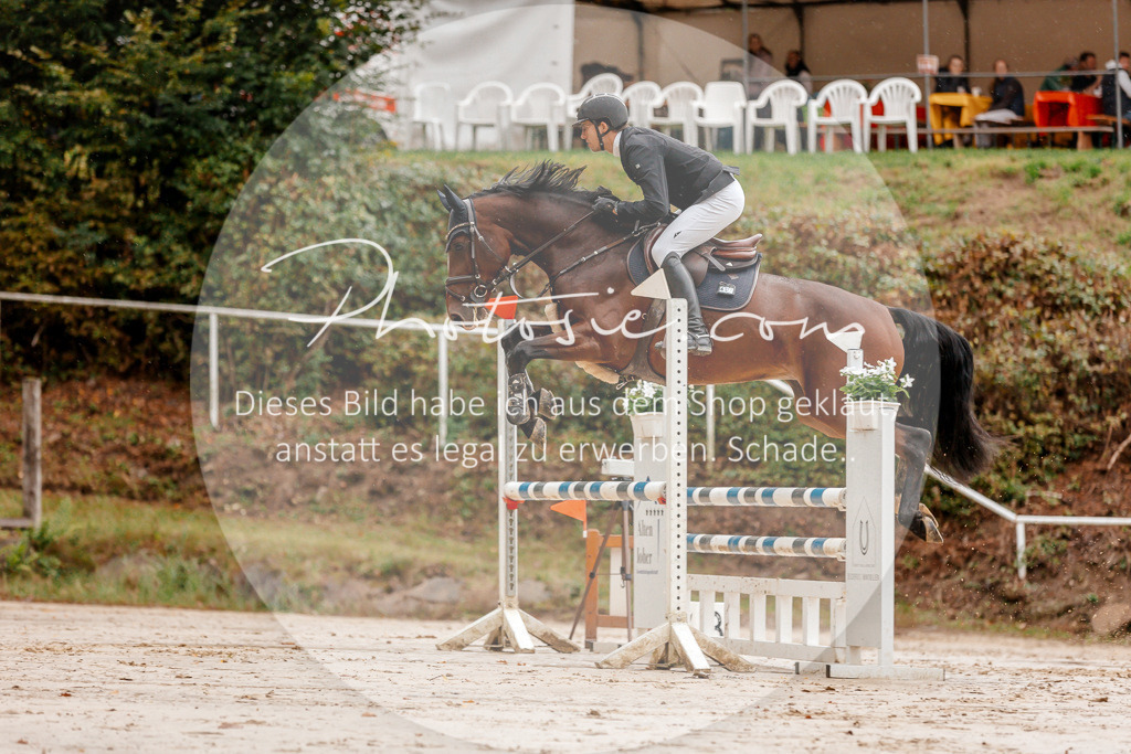 3I6A5702 | Stimmungsvolle Portraits und Reitsportfotografie im Ruhrgebiet und im Münsterland.

Pferdefotografie, Hundefotografie, Tierfotografie, Reportagen, Portraits von Tier und Mensch, Turnierfotografie in Bochum, Recklinghausen, Marl, Haltern am See, Dülmen.. - Realisiert mit Pictrs.com