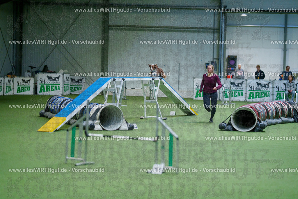 @allesWIRTHgut_Tierfotografie - www.allesWIRTHgut.de - 2604250810-7R505606 | Professionelle Tierfotografie in Mönchengladbach von Daniel Wirth (allesWIRTHgut). Liebevolle & natürliche Bilder von Hunden & Katzen für unvergessliche Erinnerungen.