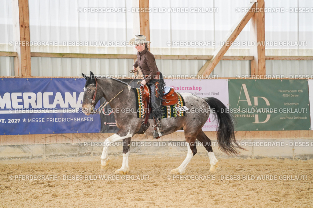 DSC02125 | Pferdegrafie