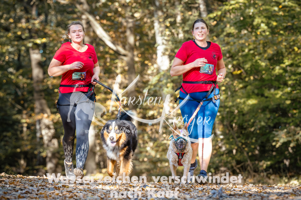1132_ZZ92654 | kk-dogfotos