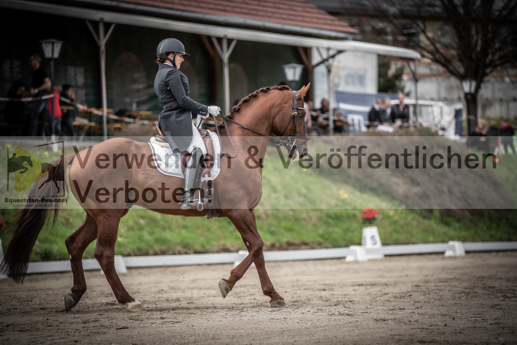 DSC_2563 | equestrian-live-com