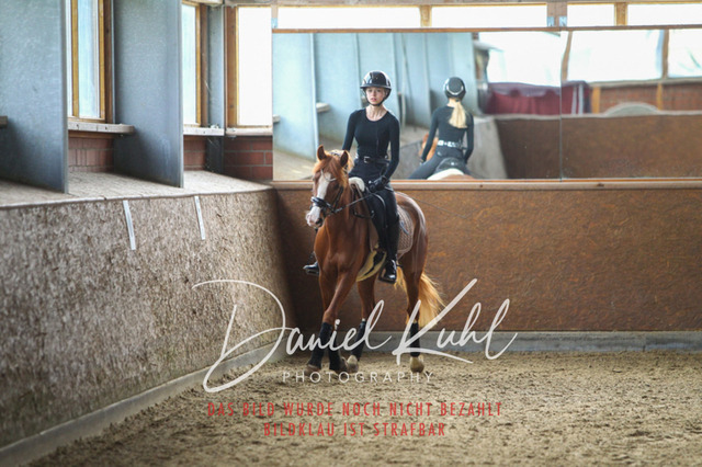DKP42579 | Turniersportfotografie; Pferdefotografie; Dressurfotografie