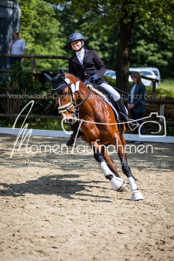 Donop24-EDre-072 | MomenTaufnahmen Pferdesportfotos