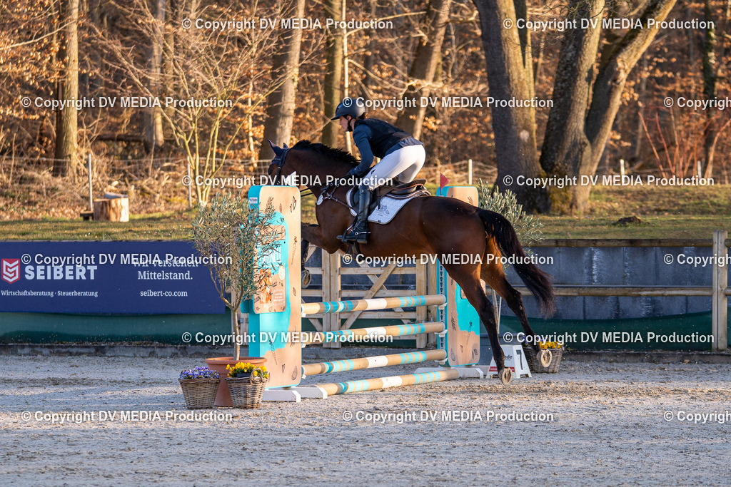 DSC-208 | dv-media-shop - Realisiert mit Pictrs.com