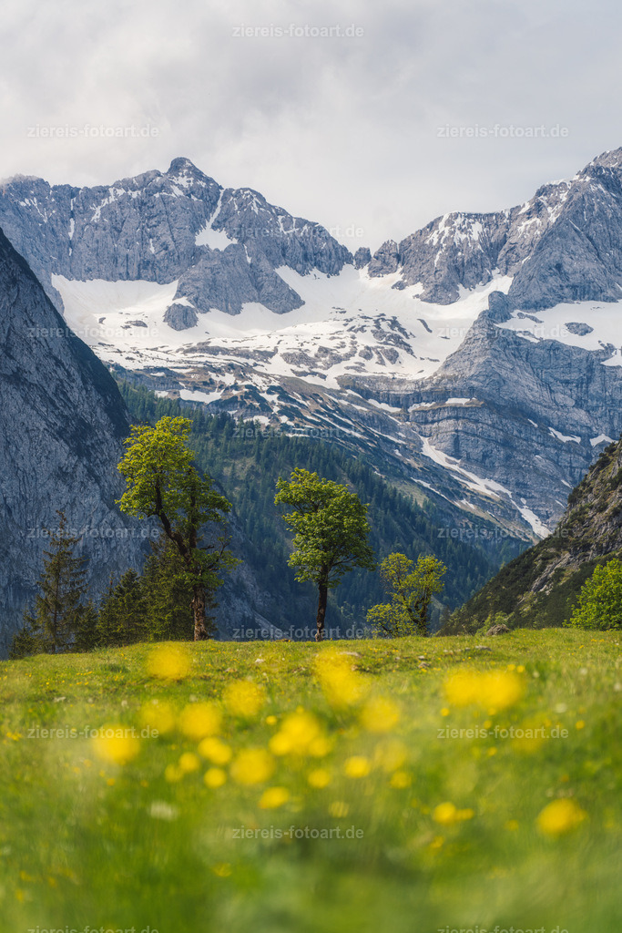 Der Ahornboden im Karwendel im Frühling | Der Ahornboden im Karwendel im Frühling - Realisiert mit Pictrs.com