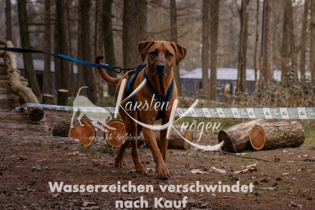 1612_ZZ93083 | kk-dogfotos