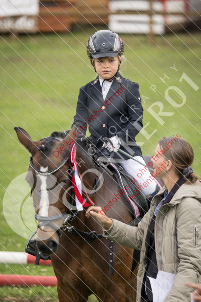 IMG_1884 | Sport-, Event- und Tierfotos in Profiqualität. Einfach auswählen, bestellen und herunterladen. Dein Moment – perfekt festgehalten.