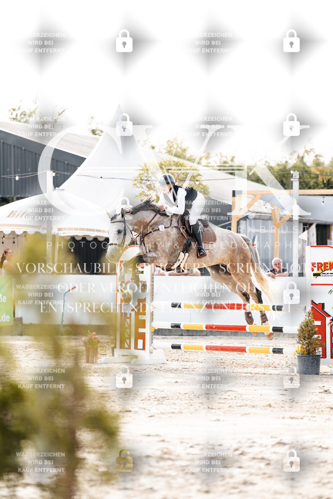 CK906724 | Turnierfotografie Pferdefotografie Trier Rheinland-Pfalz Pferdesport Reitsport Tierfotografie Sportfotografie Pferdevideo Pferdevideografie Equestrianvideography equestrianphotography  - Realisiert mit Pictrs.com