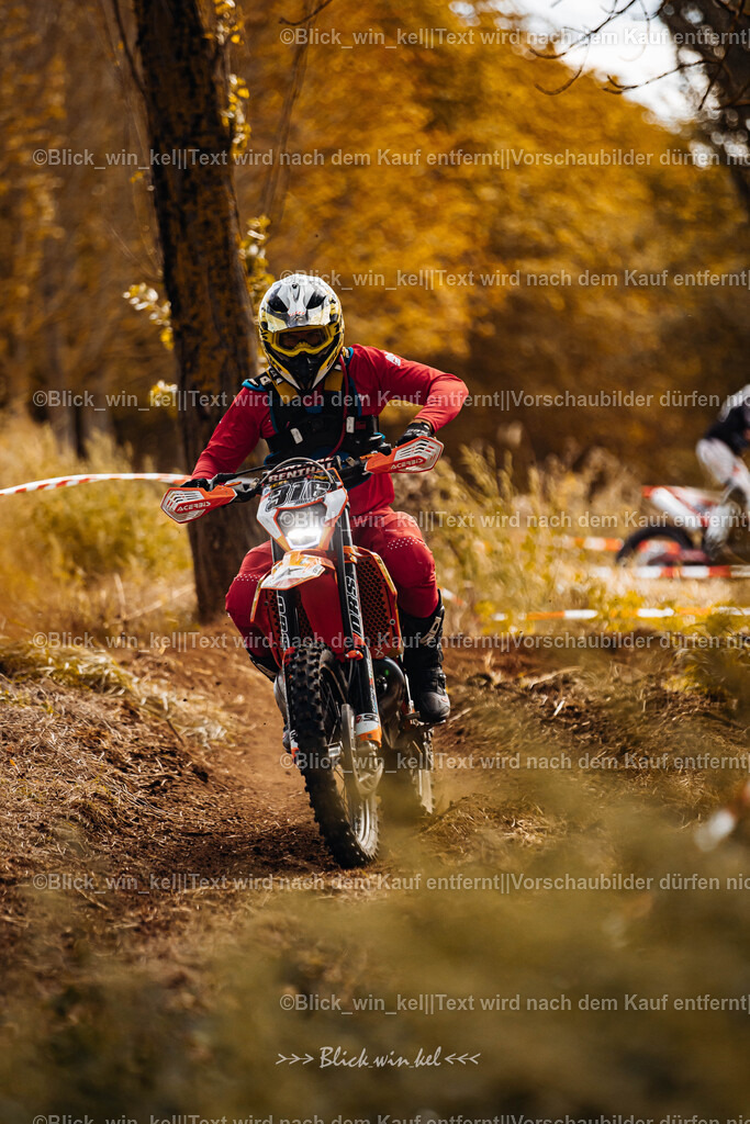 E68A2279 | blick_win_kel