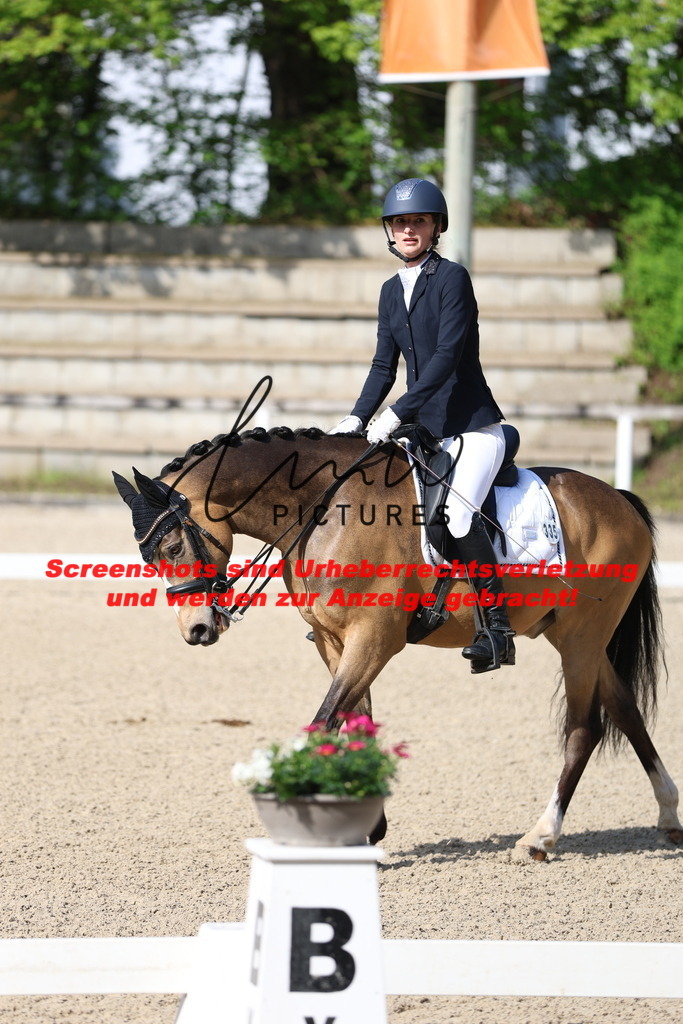 A40A3749 | lmwpictures - Realisiert mit Pictrs.com