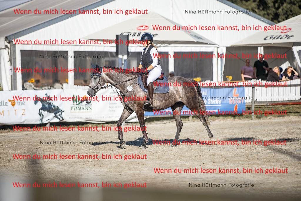 BK1A7757 | Turnierbilder Turnierfotos Nina Hüffmann Turnierfotografie Pferdefotografie Tierzeichnung Haustierzeichnung Pferdezeichnung Hundezeichnung Videograf  - Realisiert mit Pictrs.com