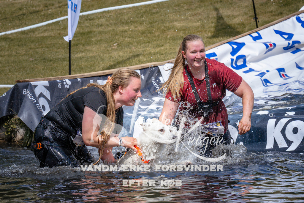 _ZZ940680950 | kk-dogfotos