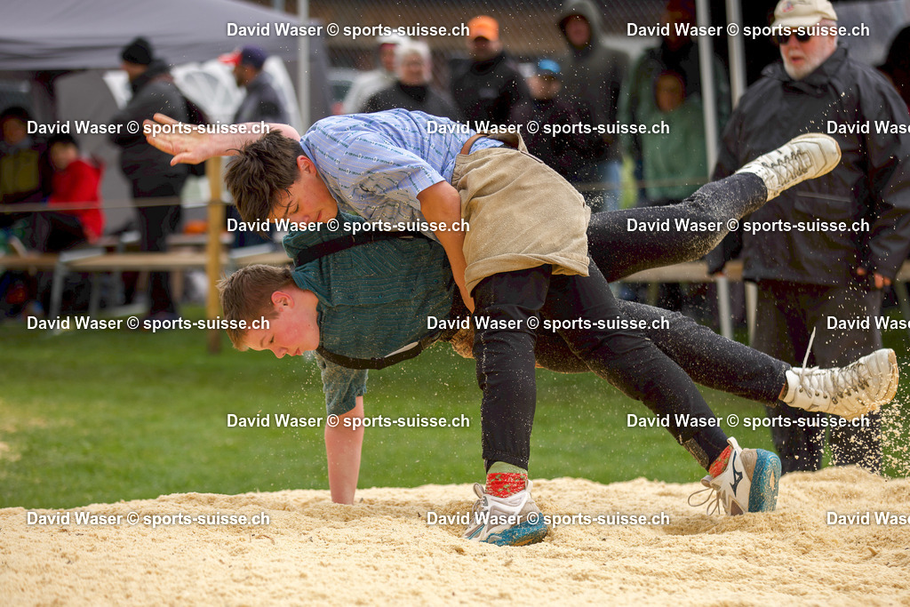 Schlussgang 2013-2014 Berthoud Evan (2013) - Overney J_r_me (2013) F_te R_gionale Le Mouret_ 14.05.2026-1 | Schlussgang 2013-2014 Berthoud Evan (2013) - Overney Jérôme (2013) Fête Régionale Le Mouret, 14.05.2026