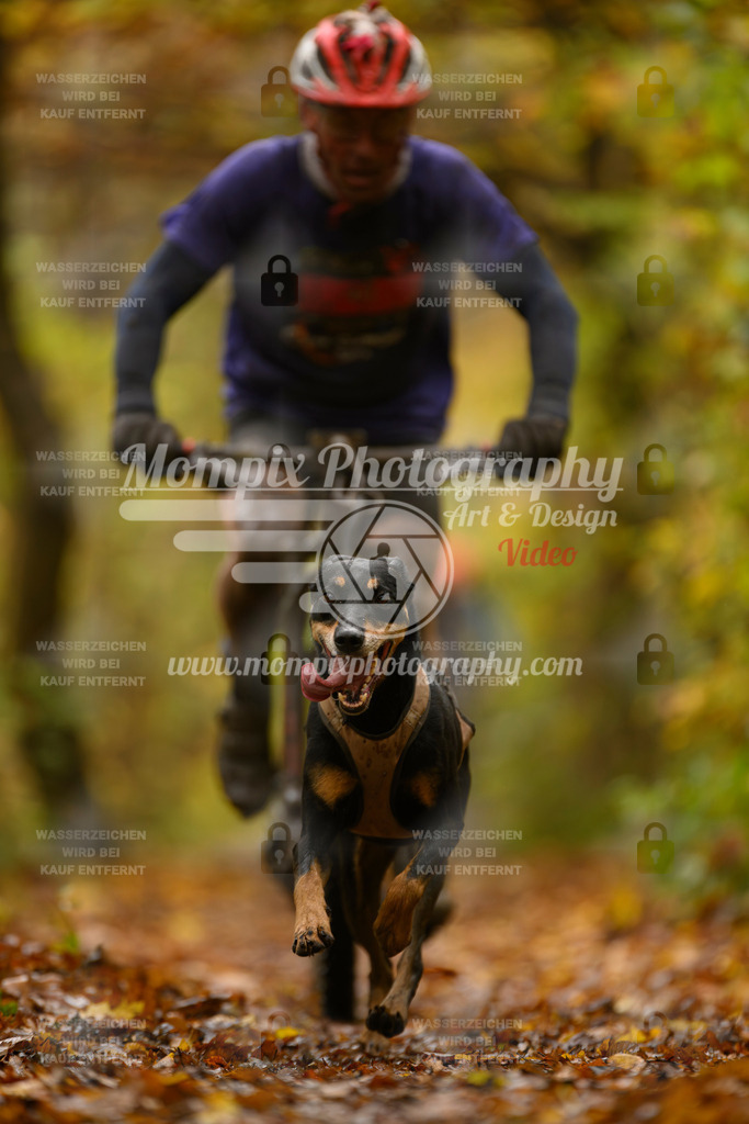 MompixPhotography_CD7S_DI_Bike-45 | mompixphotography