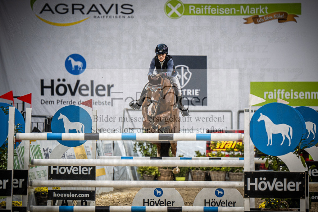 DOS_1767 | Entdecke hochwertige Reitturnierfotos von Foto Oger. Professionell, emotional und authentisch – jetzt Lieblingsmomente im Shop bestellen.Deutschlandweite Turnierfotografie. - Realisiert mit Pictrs.com