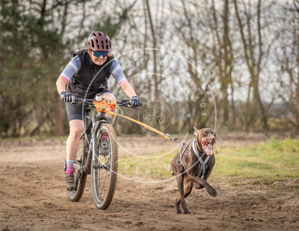 Pfotenfotografie_DV3A8107 | Hundefotografie, Tierfotograf, Pfotenfotografie, Fotoshooting Hund, Hunde Portrait, Hundesport, Hundeportraits, Heideshooting, Hunde, Sportfotograf, Hundefotograf, Turnierhundsport, THS,  - Realisiert mit Pictrs.com