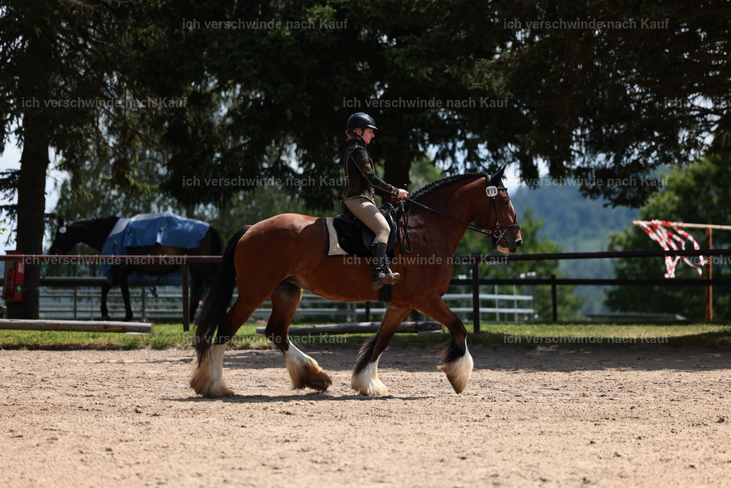 KlasseA_Stoibphotography_C2_L5599.JPG | working equitationturnier fotograf videograf stoibphotography marixx film working equitation deutschland reitsport turnierfotografie eventfotografie equestrian events