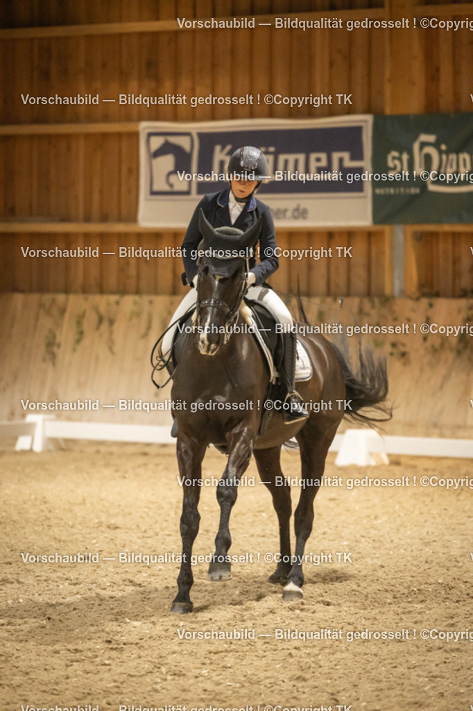 _D5A4080 | Emotionale Pferde- & People-Fotografie rund um Heidelberg, Leimen & Umgebung. Natürliche Fotos von Pferd, Mensch & Familie. Jetzt Termin sichern!