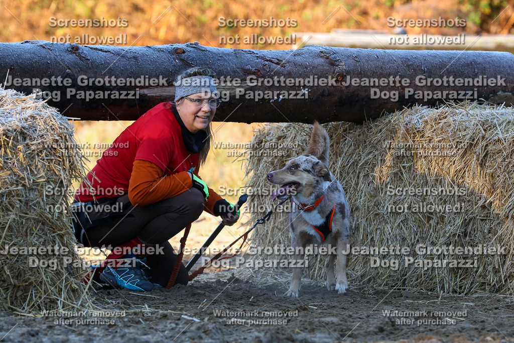 Dog Paparazzi - Strongdog 10-25-559 | Dog Paparazzi Jeanette Grottendiek Fotografie & Videografie - Realisiert mit Pictrs.com