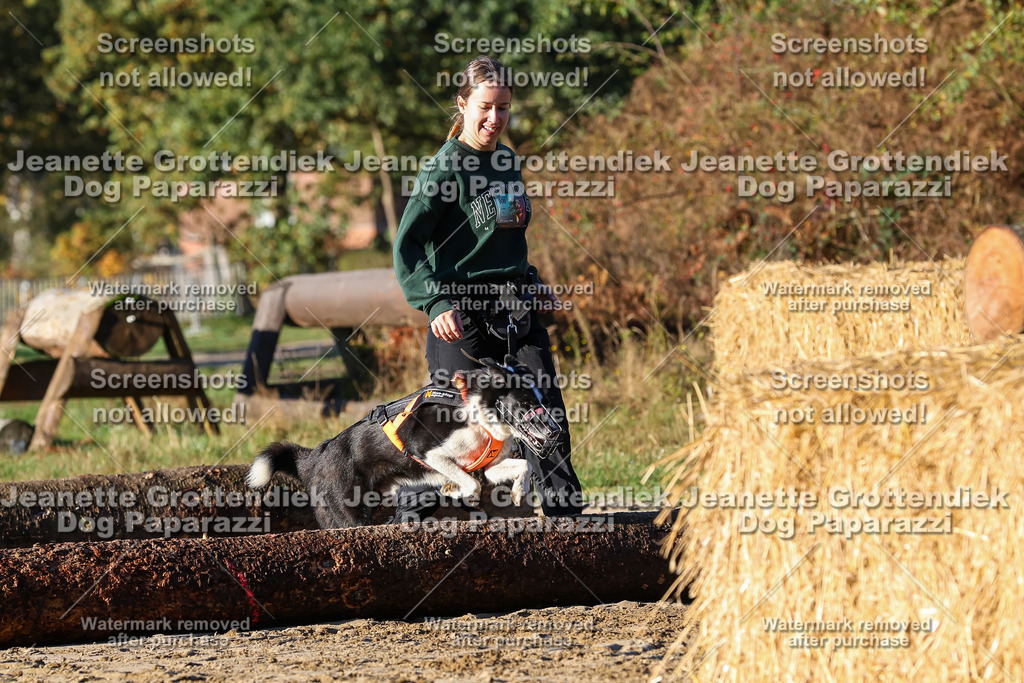 Dog Paparazzi - Strongdog 10-25-1133 | Dog Paparazzi Jeanette Grottendiek Fotografie & Videografie - Realisiert mit Pictrs.com