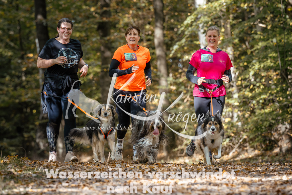1247_ZZ96220 | kk-dogfotos