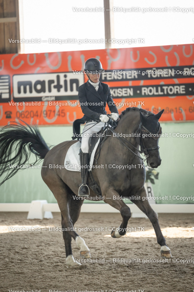 _D5A2186 | Emotionale Pferde- & People-Fotografie rund um Heidelberg, Leimen & Umgebung. Natürliche Fotos von Pferd, Mensch & Familie. Jetzt Termin sichern!