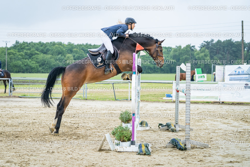 DSC01919 | Pferdegrafie