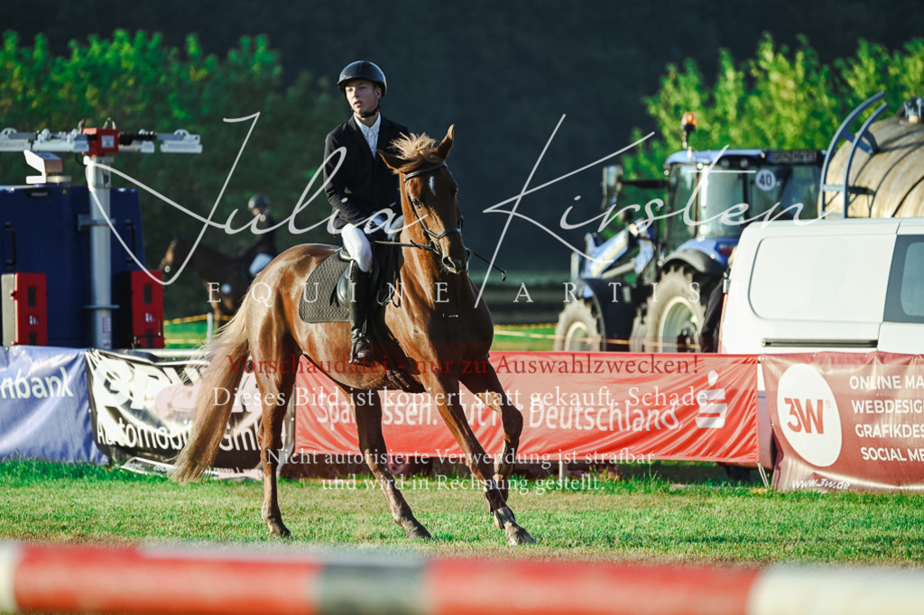 DSC_3742 | Pferde- und Turnierfotografie in Westsachsen. Pferdeportraits, Auftragszeichnungen und intuitive Kunst.