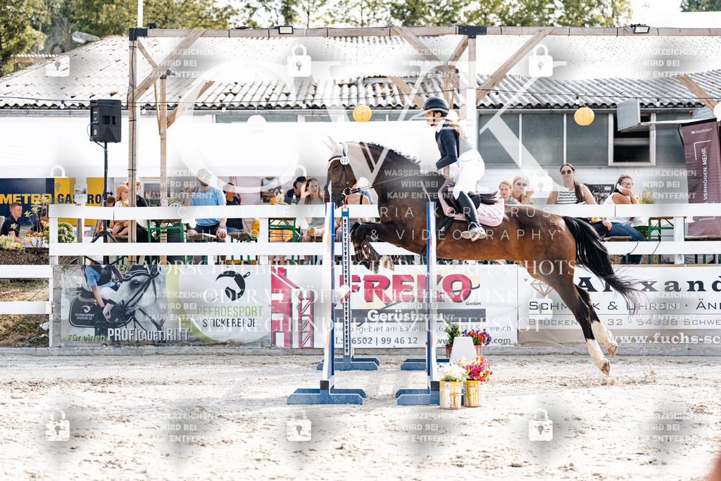 CK905614 | Turnierfotografie Pferdefotografie Trier Rheinland-Pfalz Pferdesport Reitsport Tierfotografie Sportfotografie Pferdevideo Pferdevideografie Equestrianvideography equestrianphotography  - Realisiert mit Pictrs.com