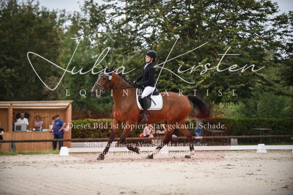 DSC_8091 | Pferde- und Turnierfotografie in Westsachsen. Pferdeportraits, Auftragszeichnungen und intuitive Kunst.