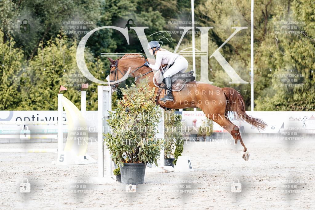 CK903936 | Turnierfotografie Pferdefotografie Trier Rheinland-Pfalz Pferdesport Reitsport Tierfotografie Sportfotografie Pferdevideo Pferdevideografie Equestrianvideography equestrianphotography  - Realisiert mit Pictrs.com