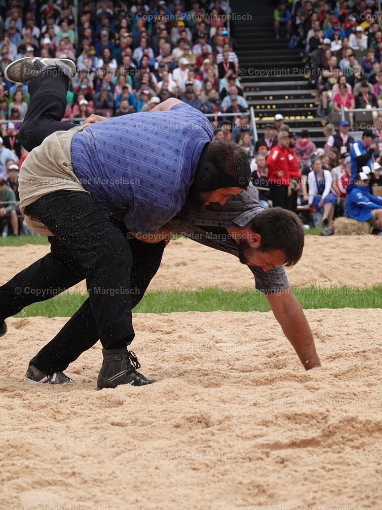 DSC04845 | Schwingen - Realisiert mit Pictrs.com
