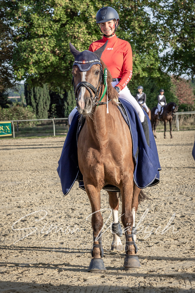 20250907-_3LI4895 | Tierfotografie Pferde, Hunde, Katzen, Haustiere.
Turnierfotografie Reitturniere, Reiten, Springreiten, Dressur in Hanau, dem Main-Kinzig-Kreis und dem Rhein-Main- Gebiet um Frankfurt