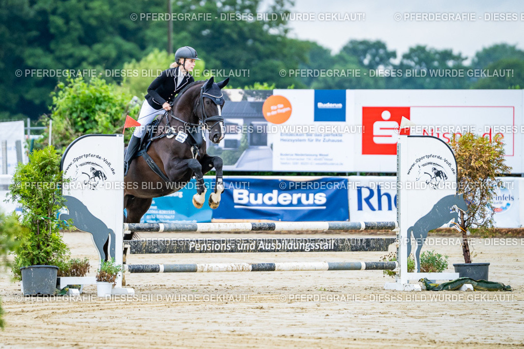 DSC00928 | Pferdegrafie