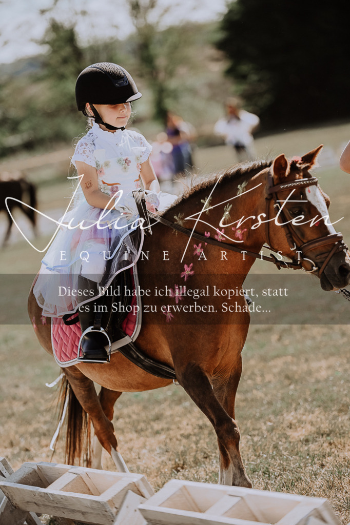DSC_9139 | Pferde- und Turnierfotografie in Westsachsen. Pferdeportraits, Auftragszeichnungen und intuitive Kunst.